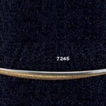 7245