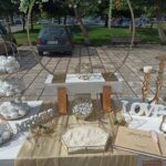 IMG_20220508_164955