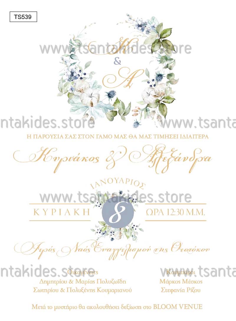 TS536-NO91K