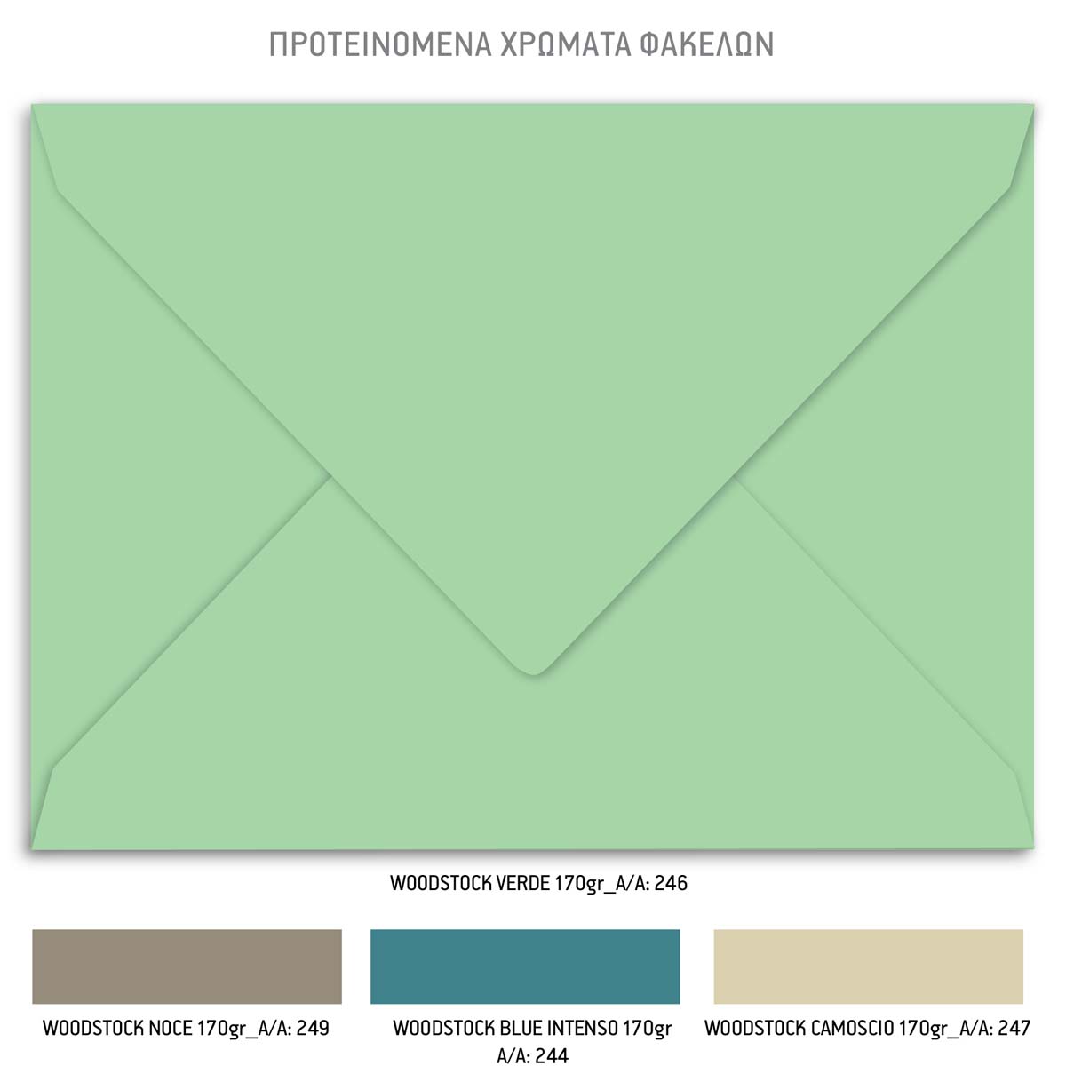 TS427-Íï91Ê