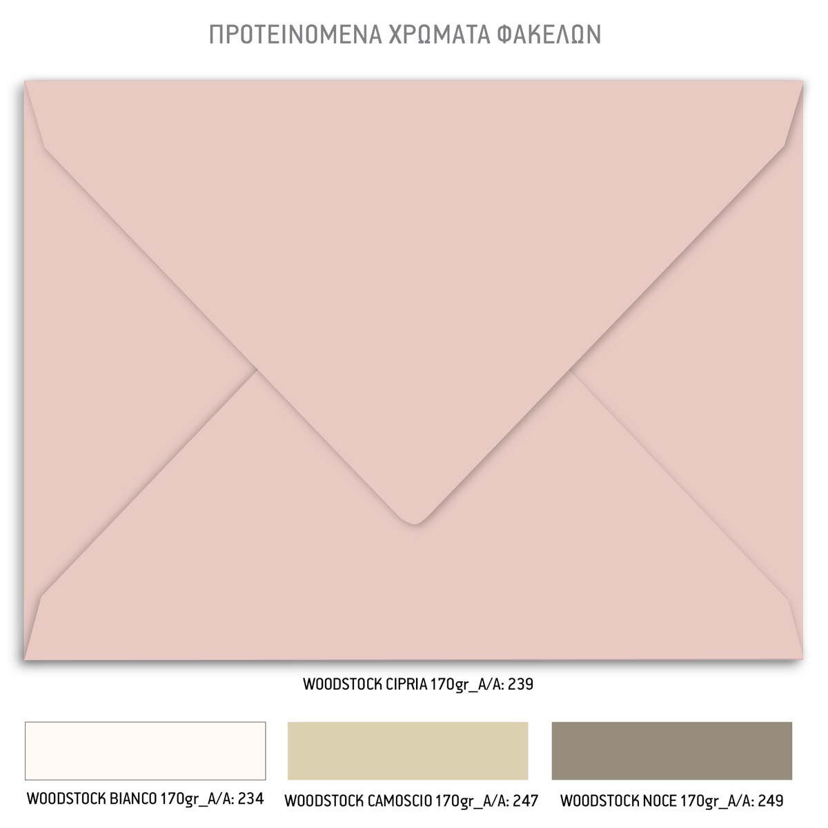 TS478-Íï91Ê