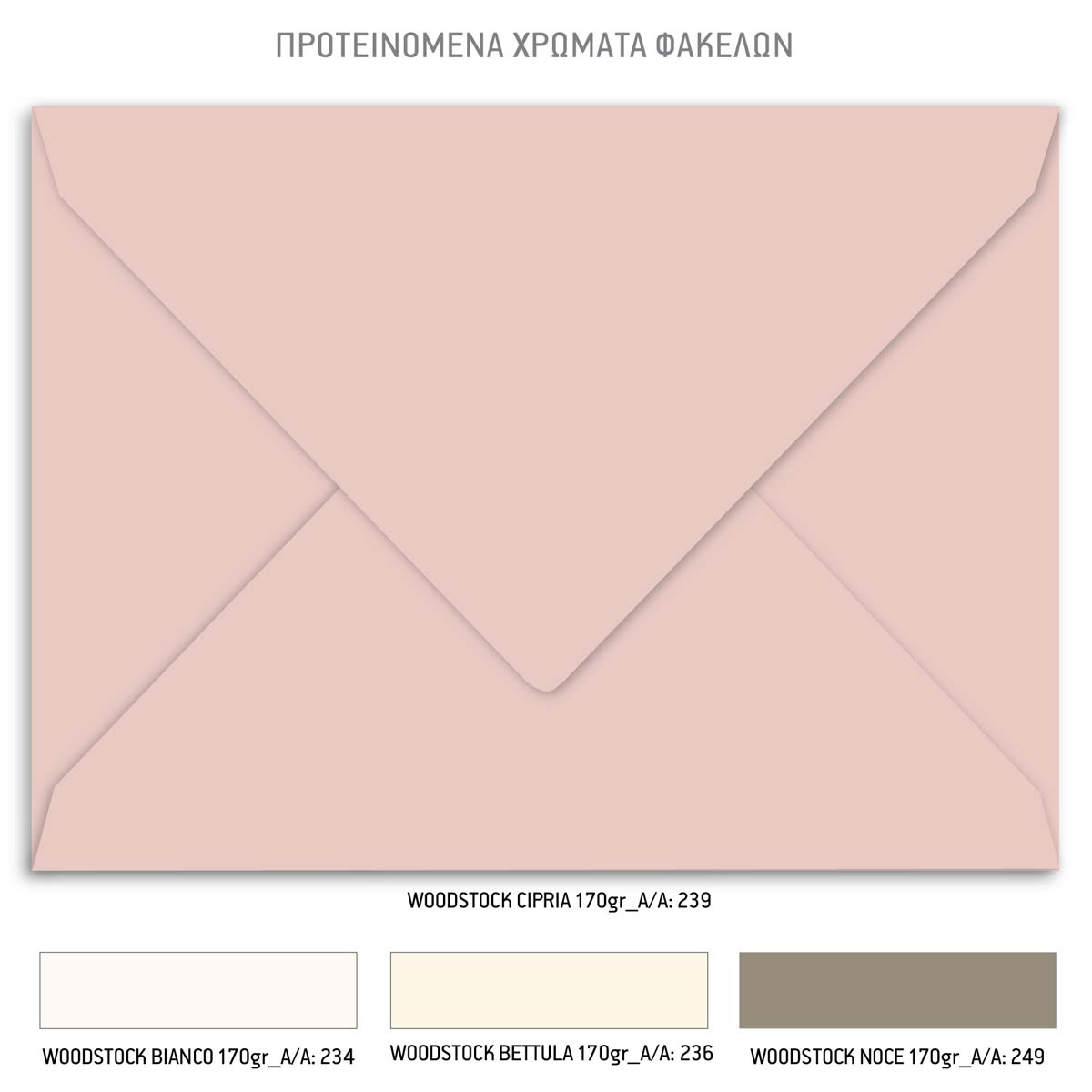 TS478-Íï91Ê