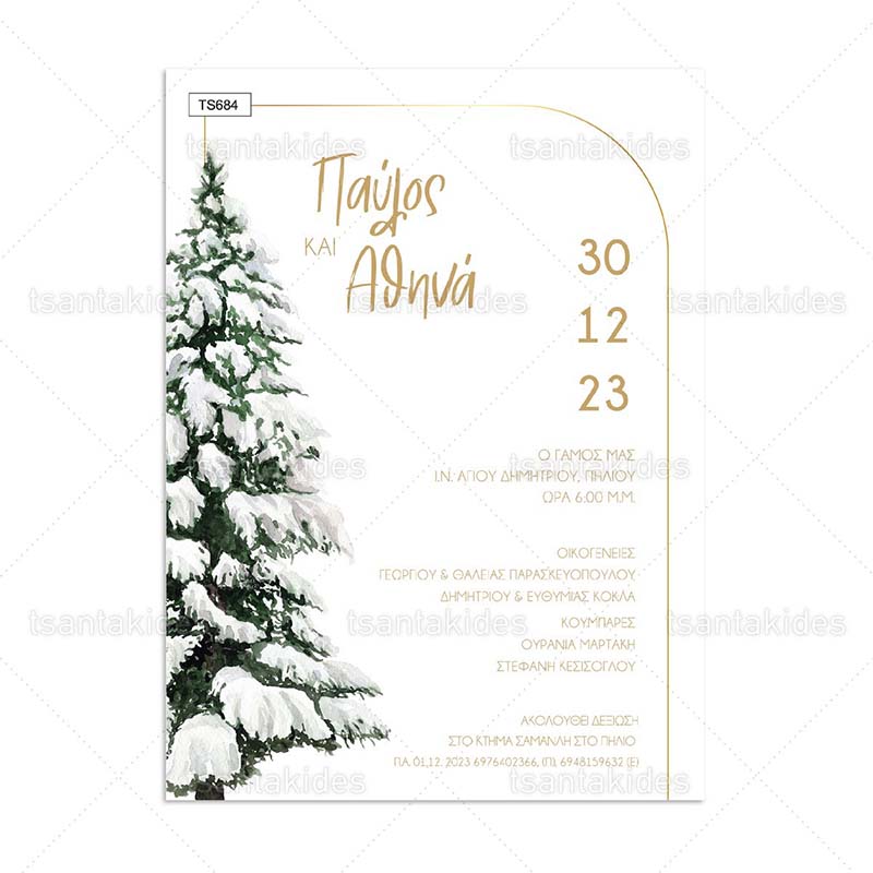 TS713-Νο91Κ_1200Χ1200