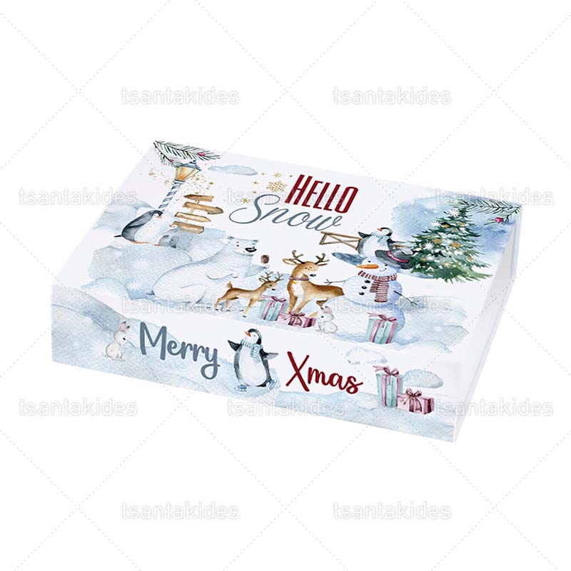 TS705_XMAS_ΚΟΥΤΙ_ΚΤ15_01