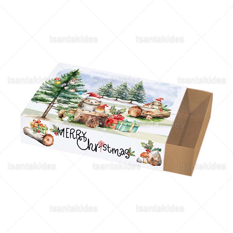 TS710_XMAS_ΚΟΥΤΙ_ΚΤ15_02