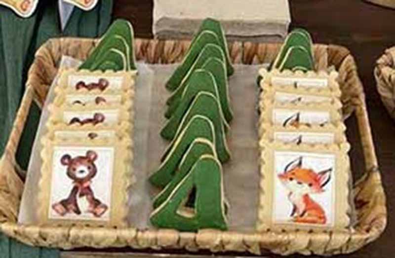 Μπισκότα βάπτισης για αγόρι με θέμα ζωάκια του δάσους